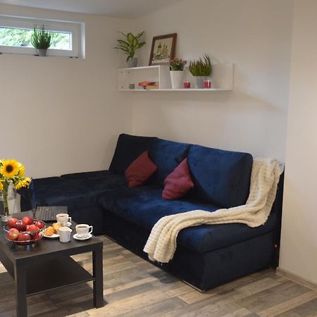 Central Wawel Apartments 크라쿠프 외부 사진